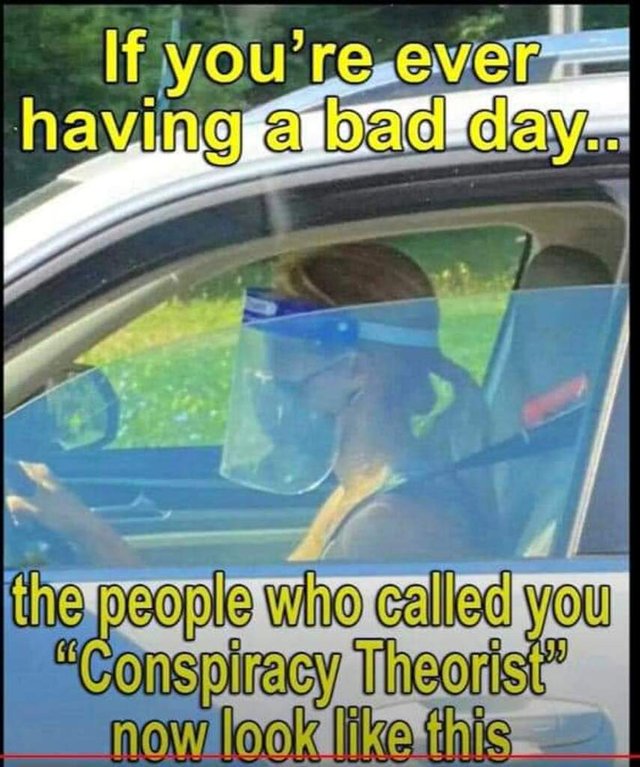 Laugh and those who call you a Conspiracy Theorist.jfif
