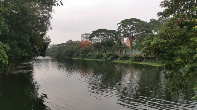 IMG_20240608_162721.jpg