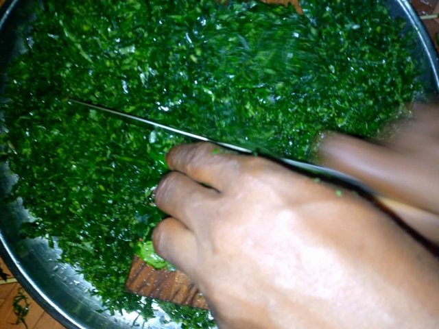 IMG-20250905-WA0102.jpg