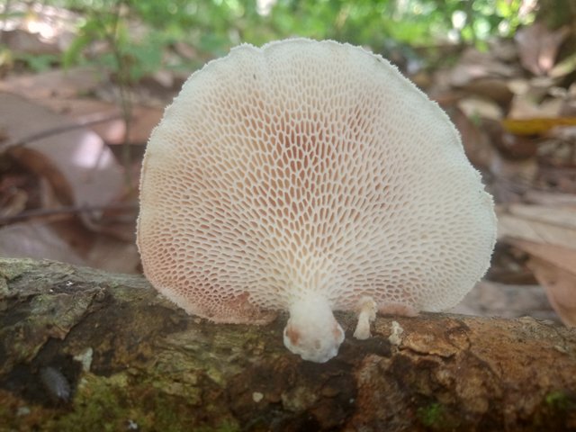 IMG20220306141603.jpg