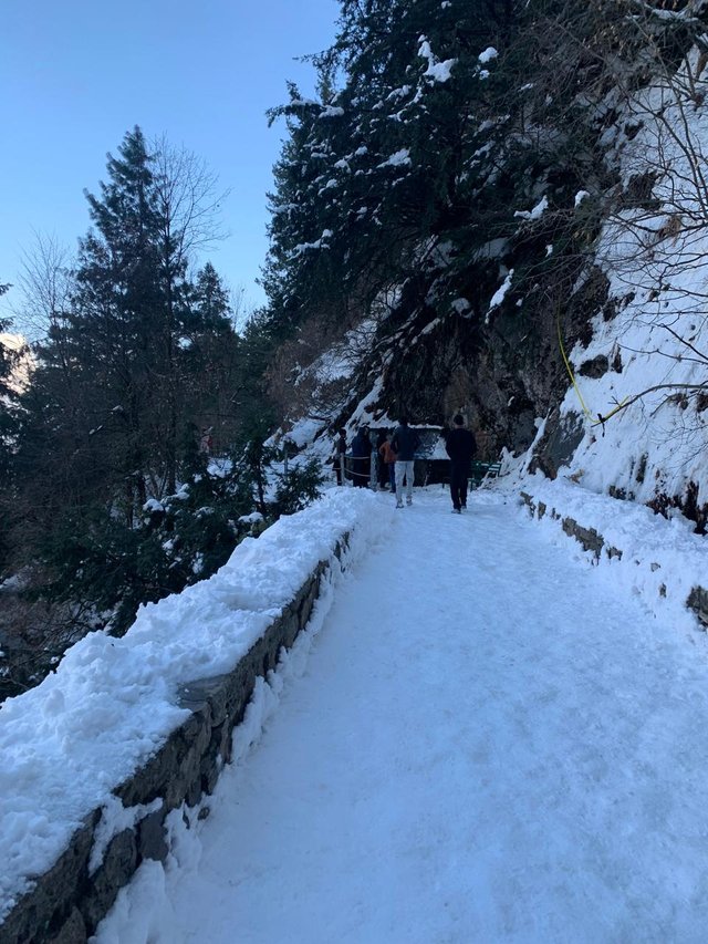 walking in snowfall and enjoy the nture .jpg