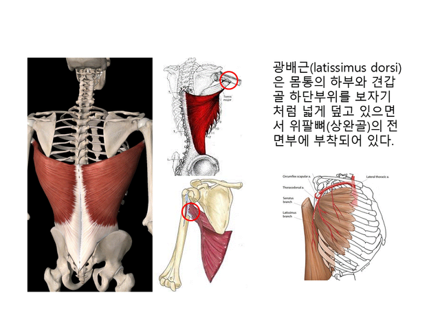 슬라이드2.GIF