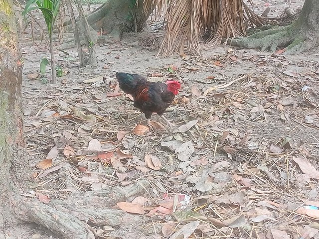 IMG20250609104547.jpg