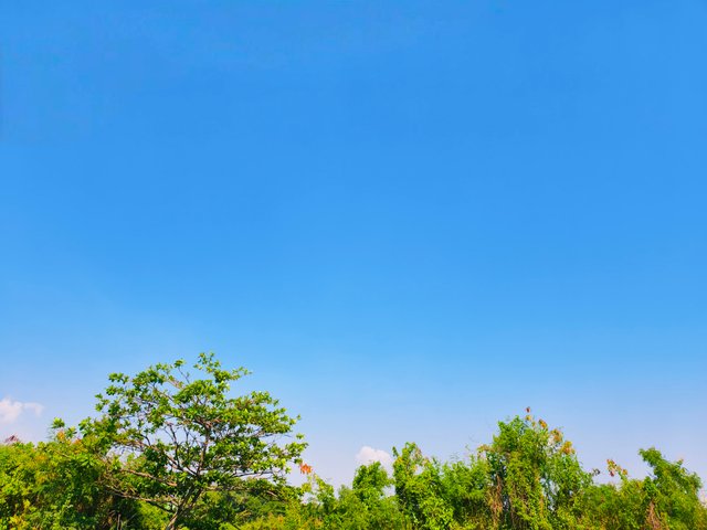 IMG_20250423_235250.jpg