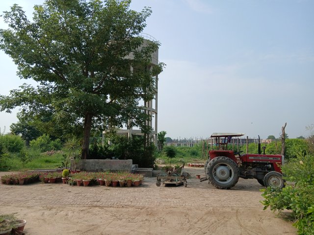 1000081978.jpg