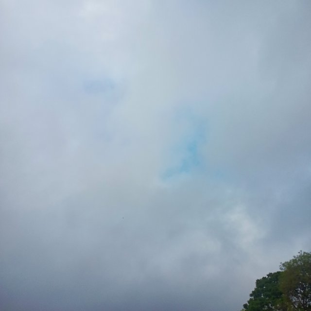 IMG_20250502_092251_678.jpg