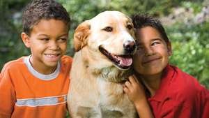 Children-pet-dog.jpg