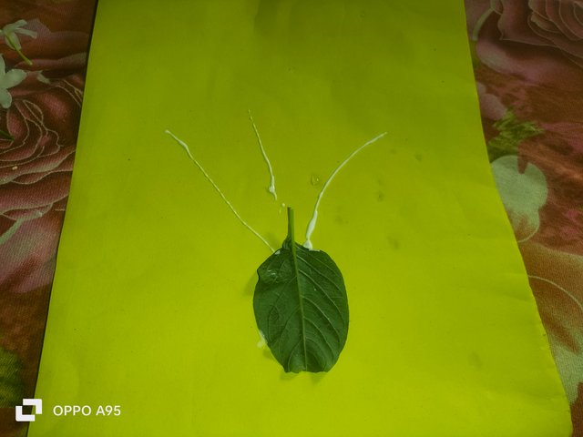IMG20250604090912.jpg