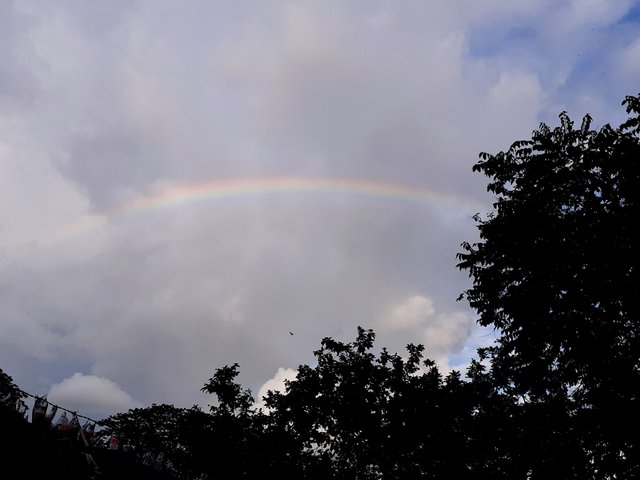 20250621_175838.jpg