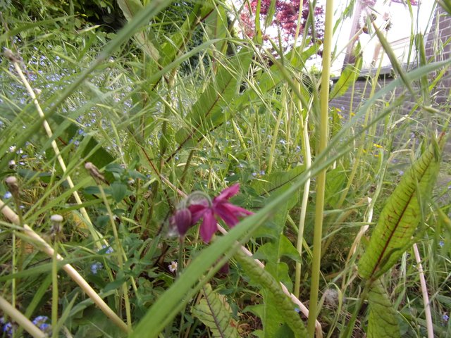 100_2638.JPG