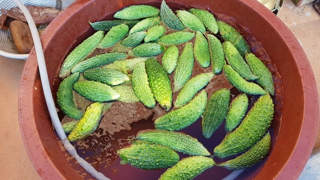20180908_073105.jpg