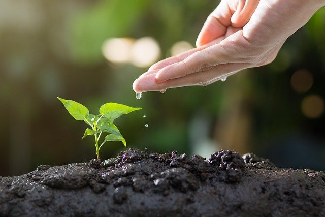 soil-8080788_640.jpg