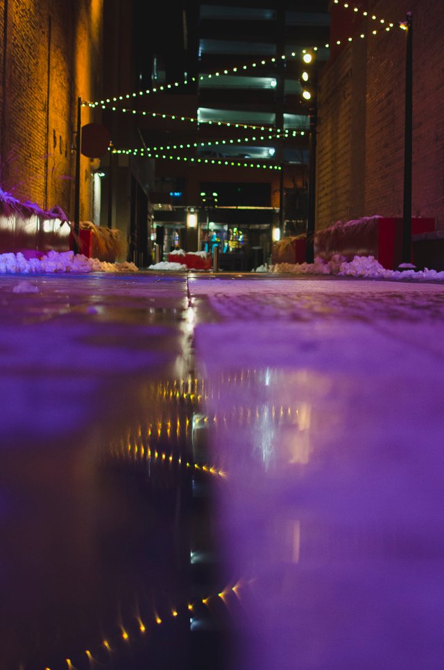 The glowing lights in the wet alley.JPG