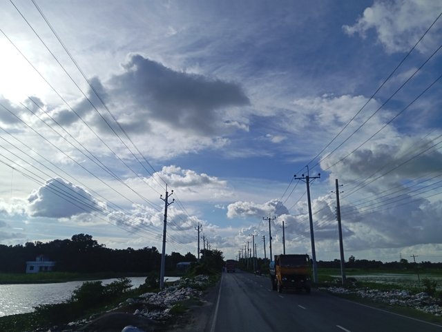1000588445.jpg