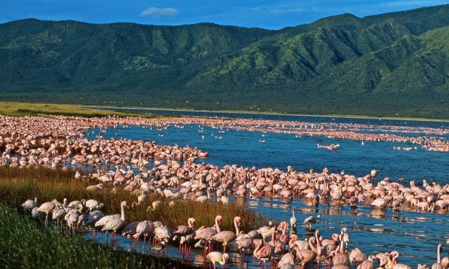 lake-elmenteita-southern-rift-valley-2-750x450.jpg