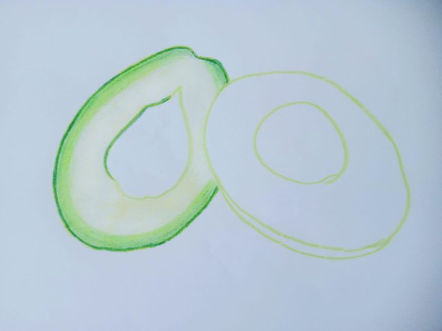 avocado (7).jpg