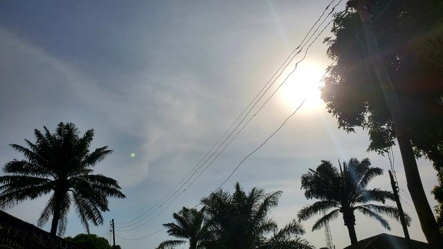 20250424_161949.jpg