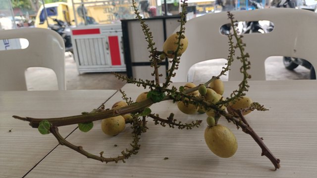 IMG20250928122424.jpg
