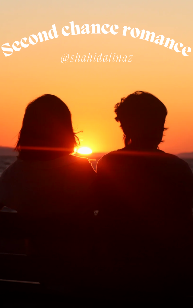 Orange Minimalist Romance Novel Book Cover_20250912_120302_0000.png