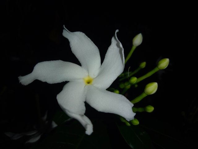 IMG20250728191028.jpg