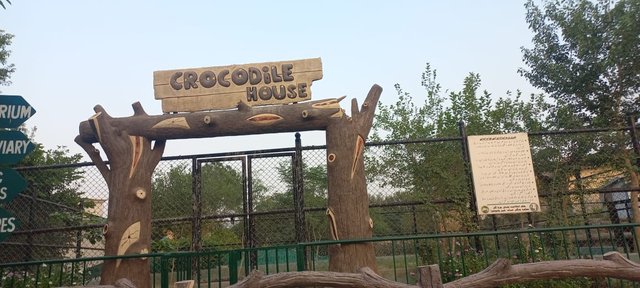 Crocodile House.jpeg