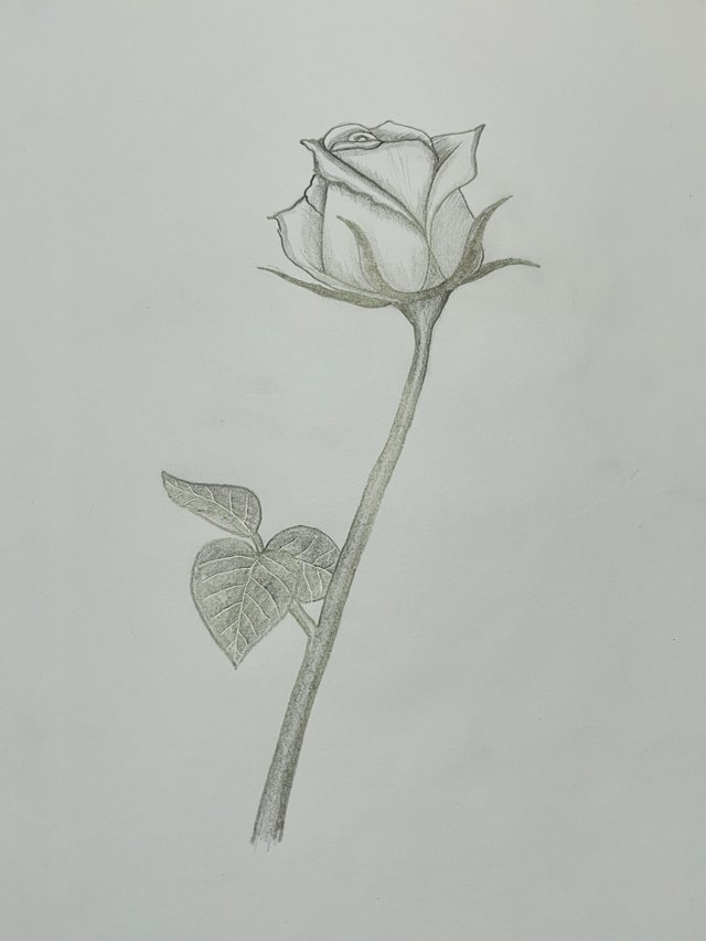 IMG_1110.jpeg
