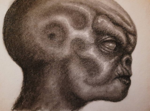 20250509_113821.jpg