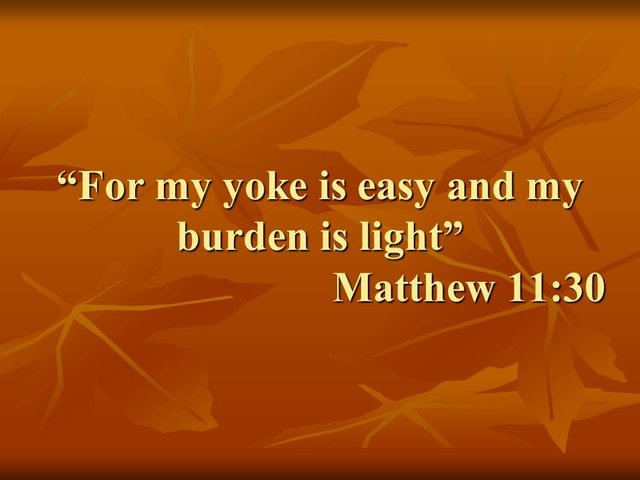 Understanding the faith. For my yoke is easy and my burden is light. Matthew 11,30..jpg