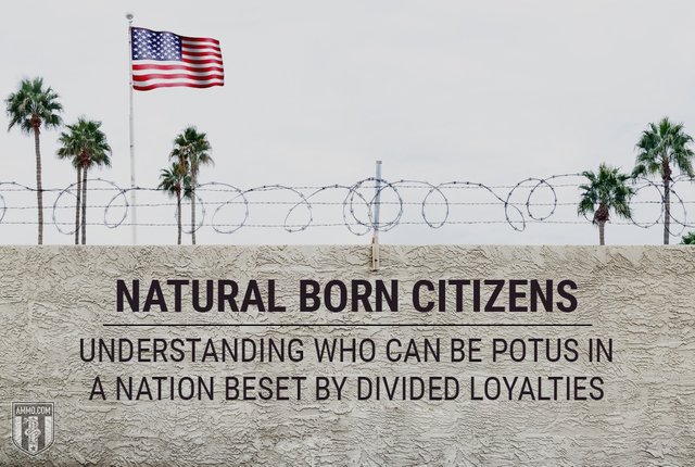 natural-born-citizens-naturalized-us-citizenship-who-can-be-potus-hero.jpg