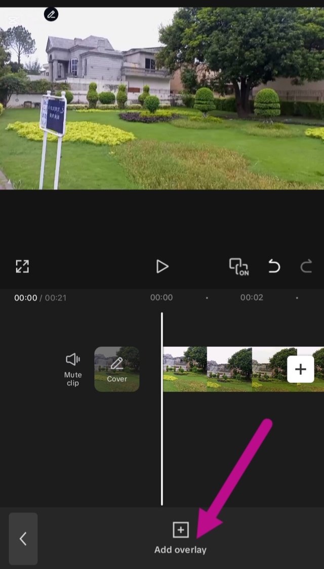 1000108395.jpg