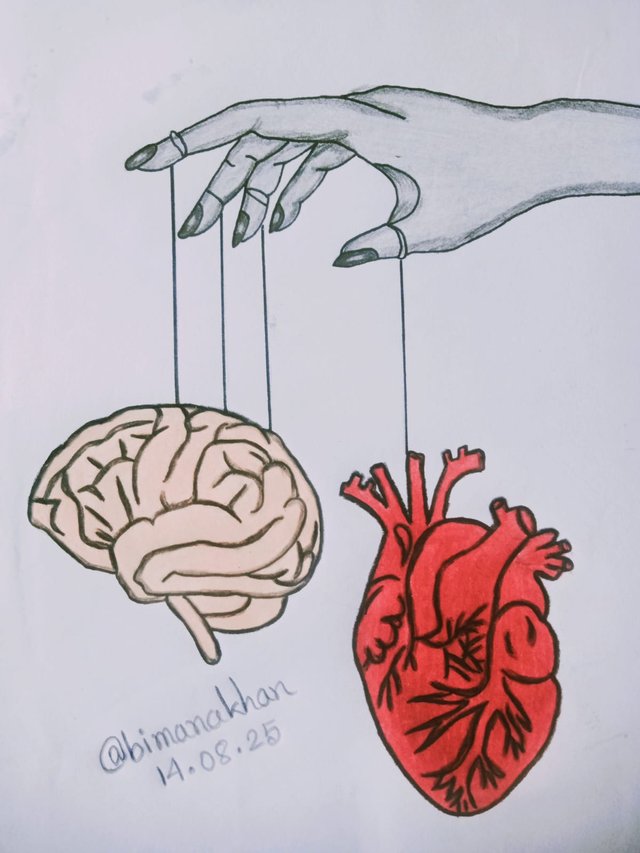 Drawing (5).jpg