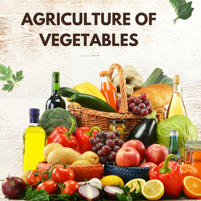 Fresh & Healthy Vegetables Promo Instagram Post.png