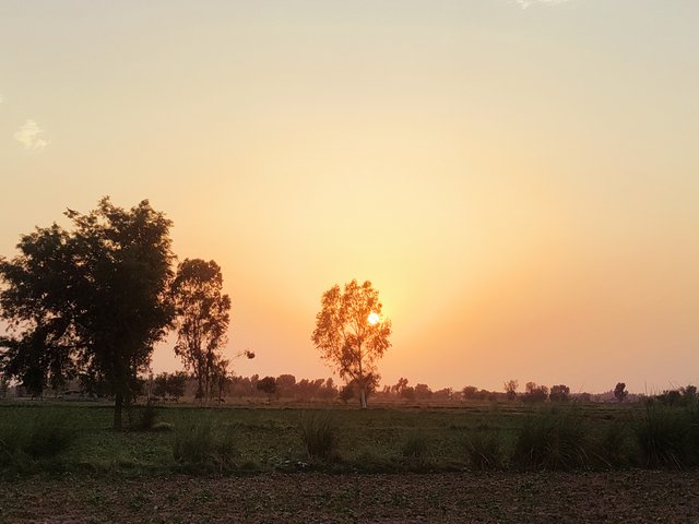 IMG_20230717_175302.jpg