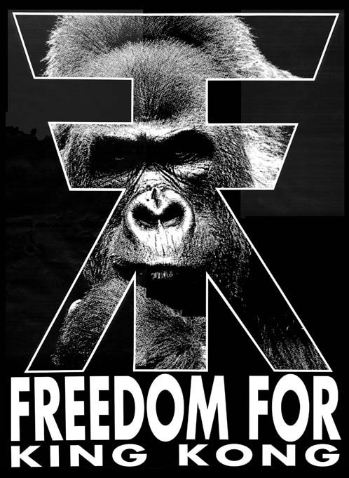 freedom for king kong.png