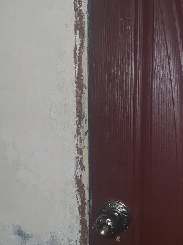 20250915_182605.jpg