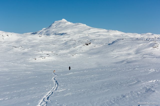 Kopparfjellet-10.jpg