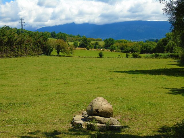 1photofeedlandscape92 (4).JPG