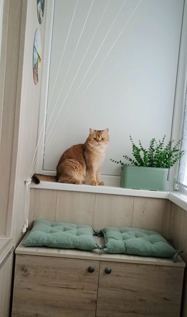 1000003309.jpg