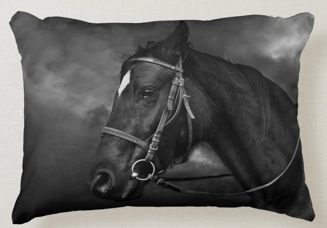 2 black beauty horse throw pillow.jpg