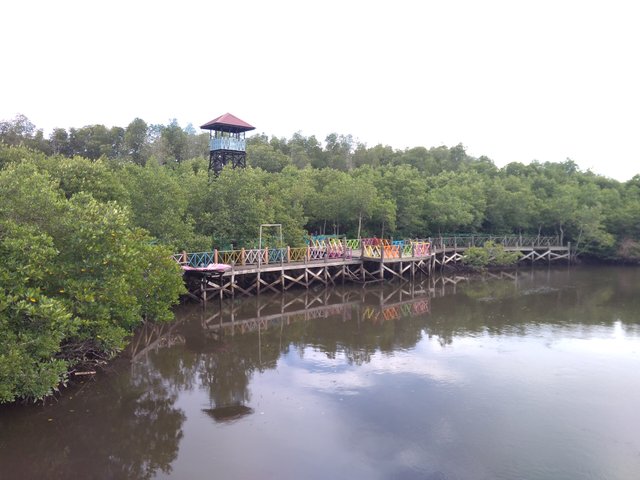 IMG_20211023_153620.jpg