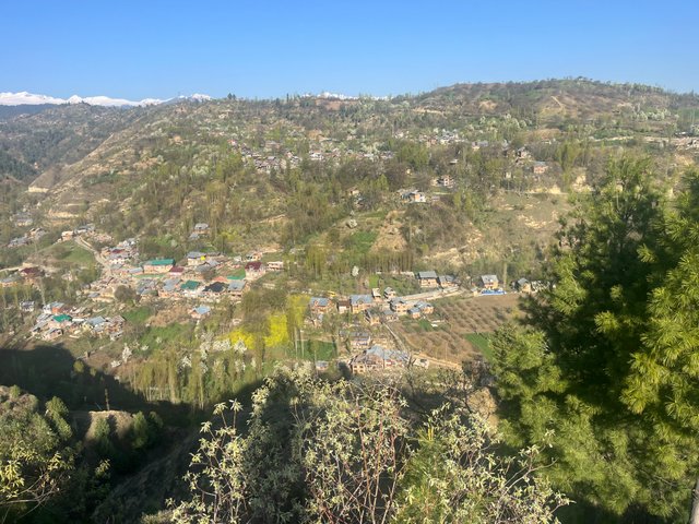 IMG_3225.jpeg