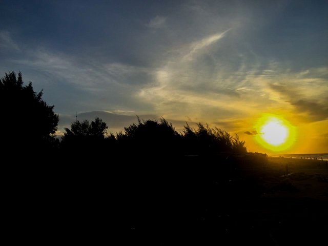 IMG-20241029-WA0210.jpg
