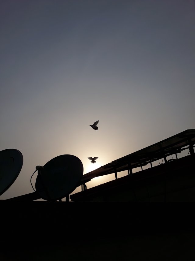 20230614_173521.jpg
