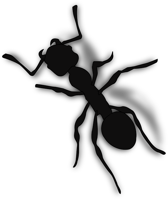 ant-296556_640.png