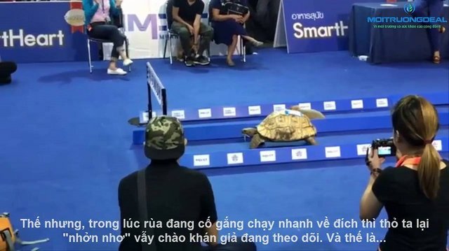 kinh-thanh-cho-trader-crypto-that-hinh-dai-toi-trong-phan-tich-ky-thuat (3).jpg