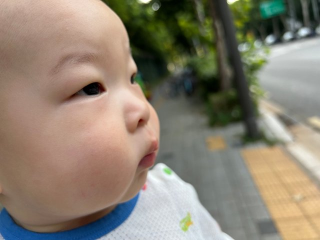 IMG_9761.jpeg