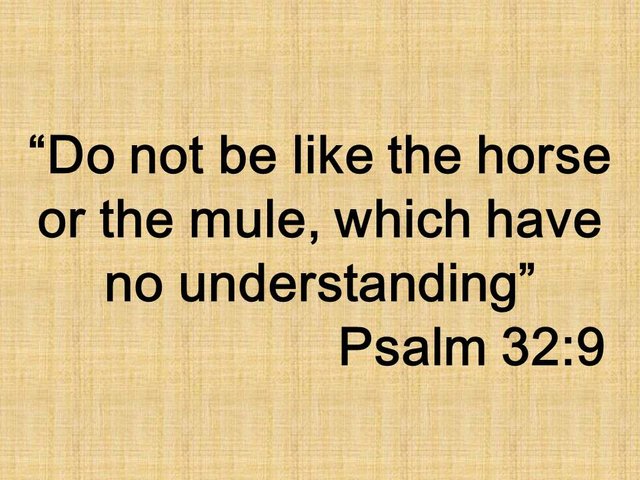 Bible reflection about man. Do not be like the horse or the mule, which have no understanding. Psalm 32,9.jpg