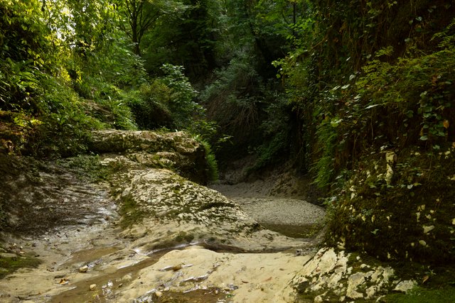 DSC05822.jpg