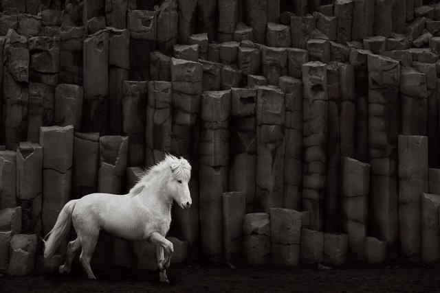 animal-photography-icelandic-horses-in-the-realm-of-legends-drew-doggett-23-5b5afbfb7f016__880.jpg