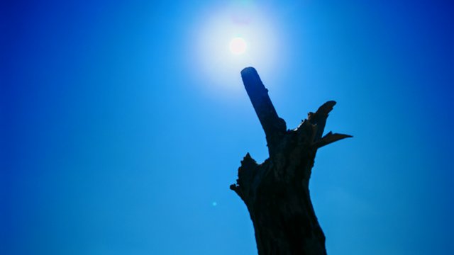 IMG_20250318_135142.jpg